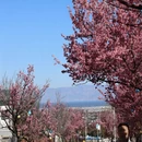 大理州旅游 缩略图 12