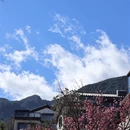 大理州旅游 缩略图 11