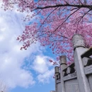 大理州旅游 缩略图 18