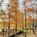 深圳旅游 缩略图 3