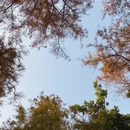 深圳旅游 缩略图 4