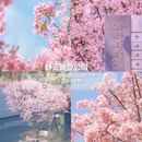 上海旅游 缩略图 7