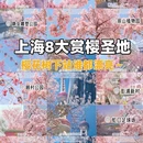 上海旅游 缩略图 1