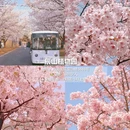 上海旅游 缩略图 5