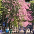 广州旅游 缩略图 4