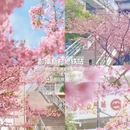 上海旅游 缩略图 9