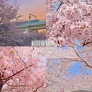 上海旅游 缩略图 4