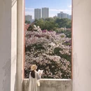 广州旅游 缩略图 2