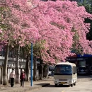 广州旅游 缩略图 3