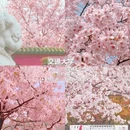 上海旅游 缩略图 3
