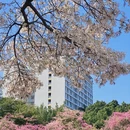 广州旅游 缩略图 12