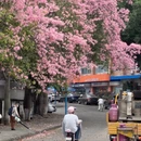 广州旅游 缩略图 15
