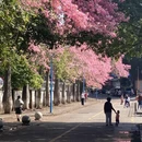 广州旅游 缩略图 17