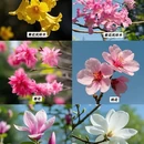 广州旅游 缩略图 3