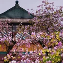 广州旅游 缩略图 5