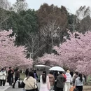 宁波旅游 缩略图 4