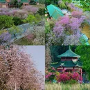 广州旅游 缩略图 6