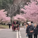 宁波旅游 缩略图 2