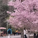 宁波旅游 缩略图 5