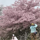 宁波旅游 缩略图 6