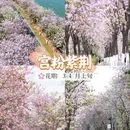 广州旅游 缩略图 2
