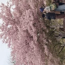 宁波旅游 缩略图 9