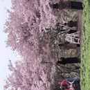 宁波旅游 缩略图 7