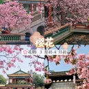 广州旅游 缩略图 3
