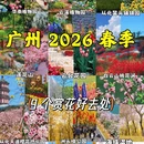 广州旅游 缩略图 1