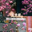 广州旅游 缩略图 5