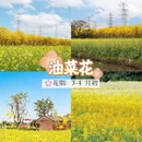 广州旅游 缩略图 9