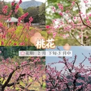 广州旅游 缩略图 4
