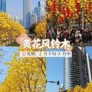 广州旅游 缩略图 8