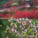 广州旅游 缩略图 3
