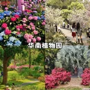 广州旅游 缩略图 4