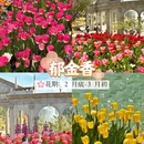 广州旅游 缩略图 7