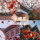 广州旅游 缩略图 10
