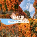 广州旅游 缩略图 11