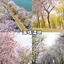广州旅游 缩略图 7