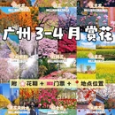广州旅游 缩略图 12
