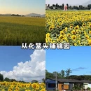 广州旅游 缩略图 10