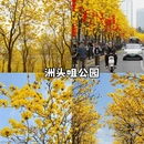 广州旅游 缩略图 6