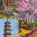广州旅游 缩略图 5