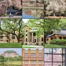 广州旅游 缩略图 1