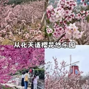 广州旅游 缩略图 9