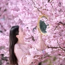 重庆旅游 缩略图 3