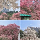 广州旅游 缩略图 3