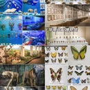 广州旅游 缩略图 8