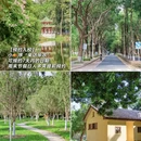 广州旅游 缩略图 11
