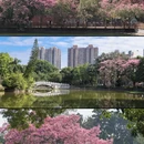广州旅游 缩略图 6